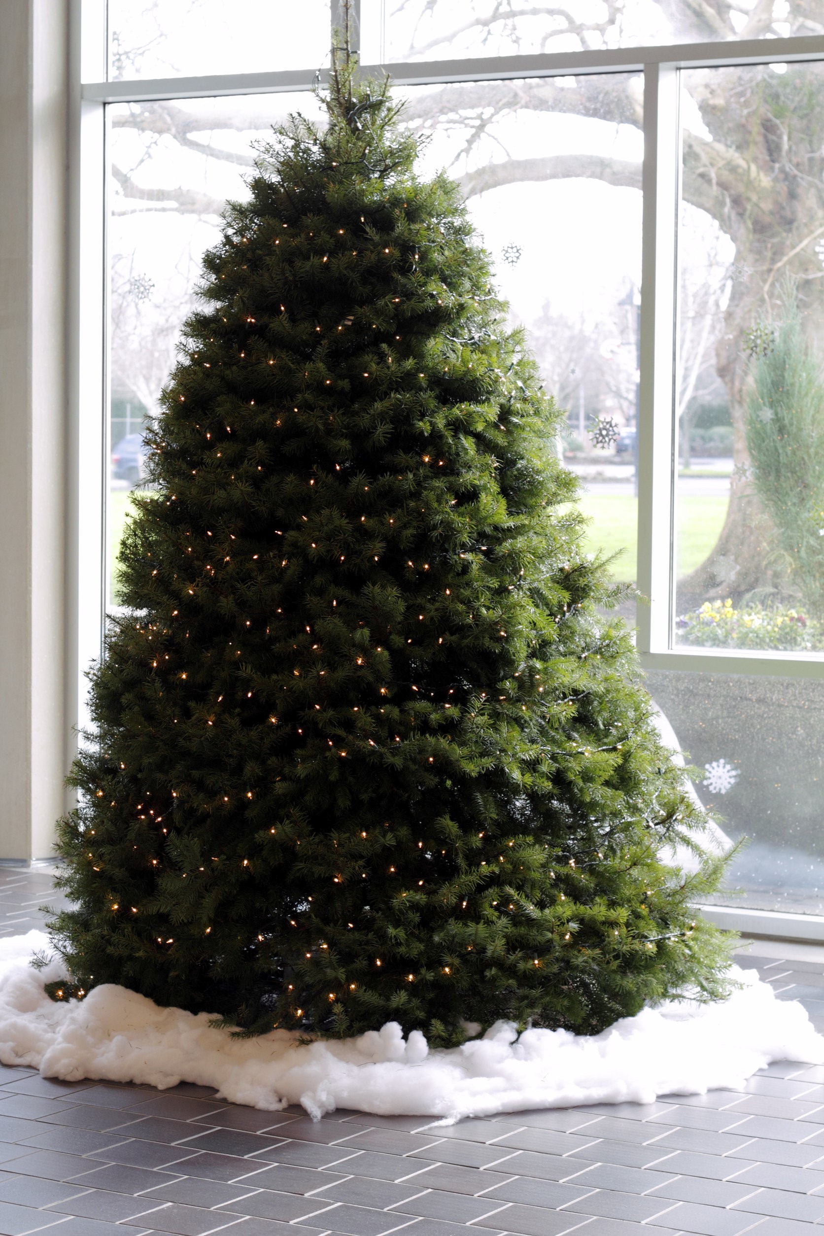 Tree for the holiday season