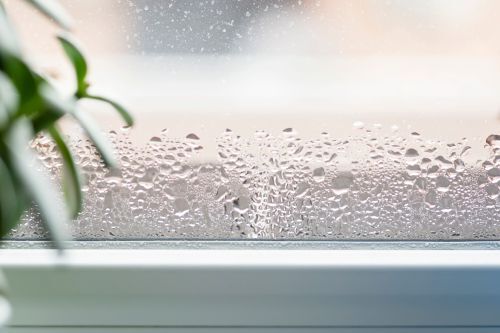 Excess Humidity in a Home