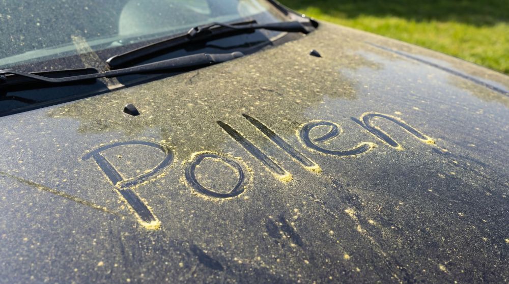 Pollen